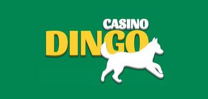 Dingo Casino
